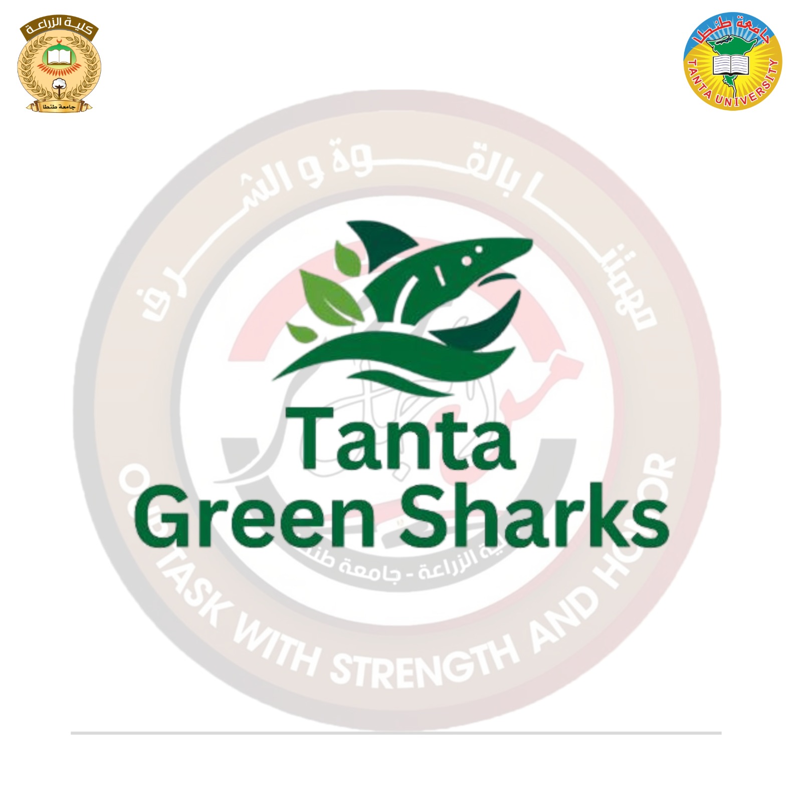 إطلاق الفعالية الطلابية المقدمة من أسرة طلاب من أجل مصر:                  