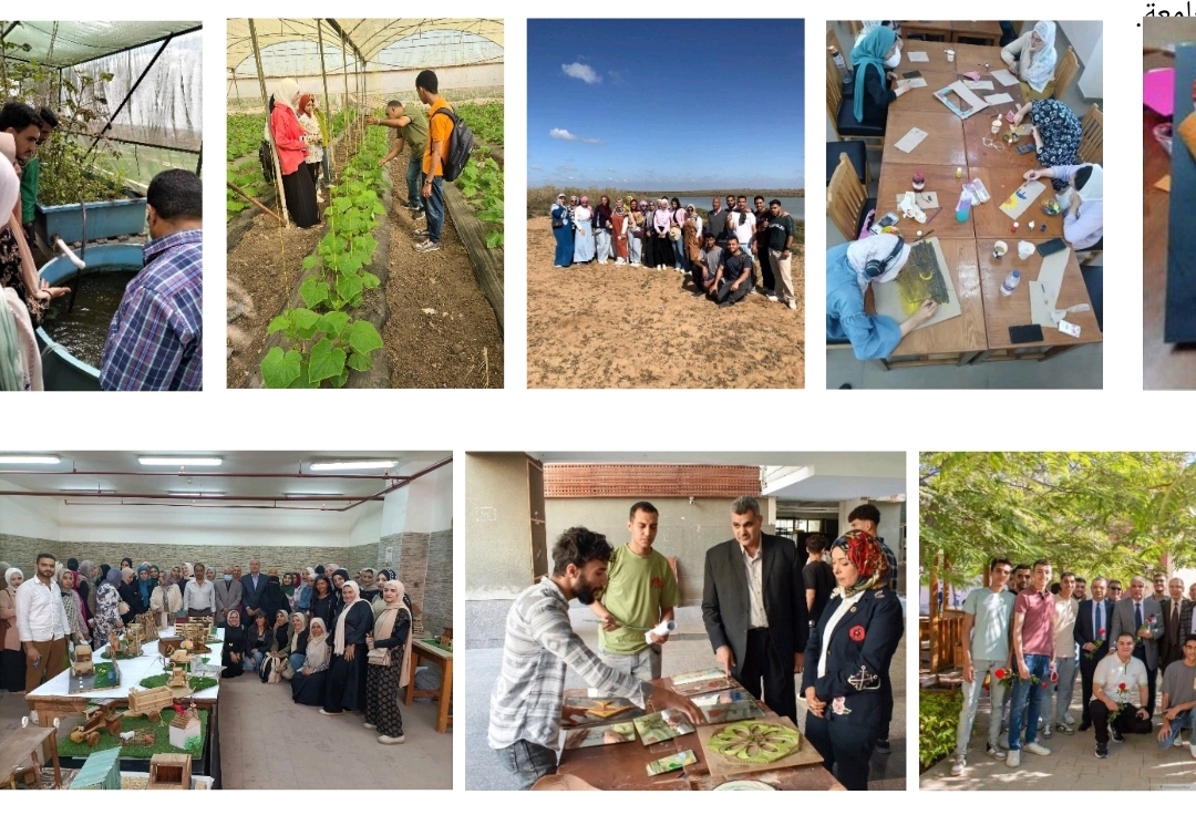 تقرير عن أنشطة فريق 